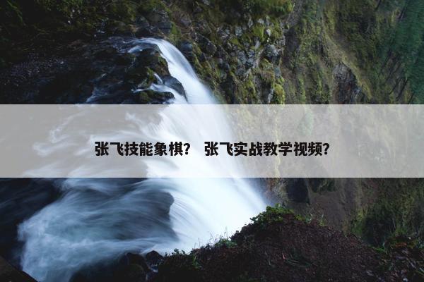 张飞技能象棋？ 张飞实战教学视频？