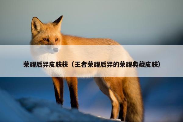 荣耀后羿皮肤获（王者荣耀后羿的荣耀典藏皮肤）