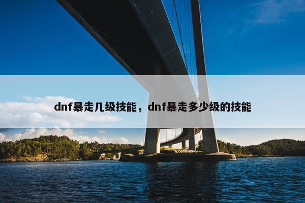 dnf暴走几级技能，dnf暴走多少级的技能