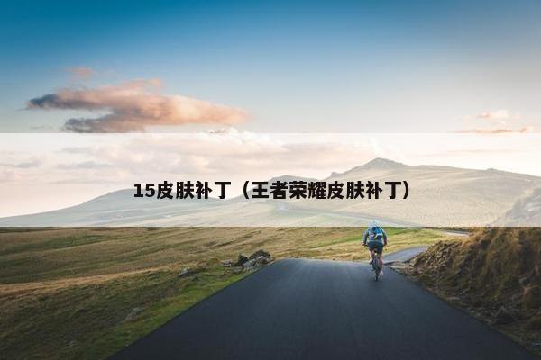 15皮肤补丁（王者荣耀皮肤补丁）