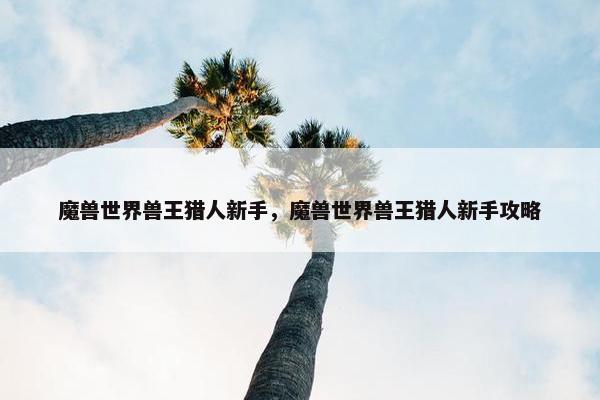 魔兽世界兽王猎人新手，魔兽世界兽王猎人新手攻略
