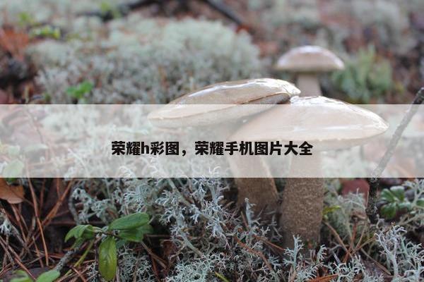 荣耀h彩图，荣耀手机图片大全