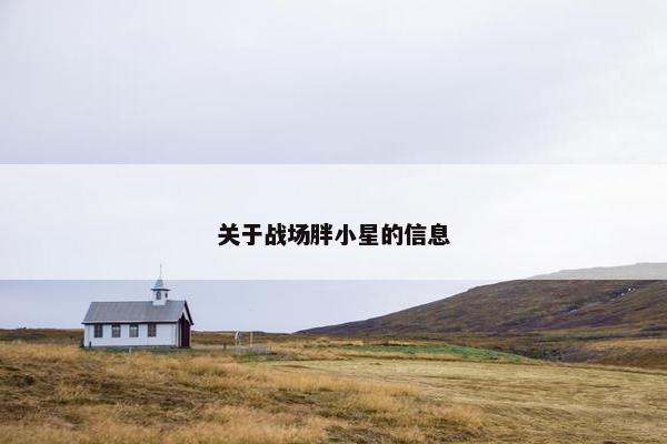 关于战场胖小星的信息