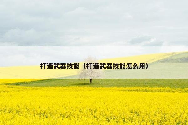 打造武器技能（打造武器技能怎么用）