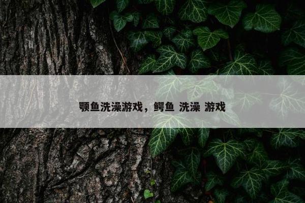 颚鱼洗澡游戏，鳄鱼 洗澡 游戏