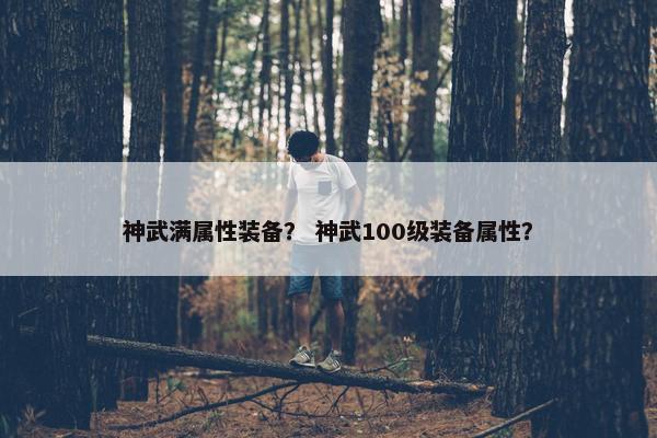 神武满属性装备？ 神武100级装备属性？