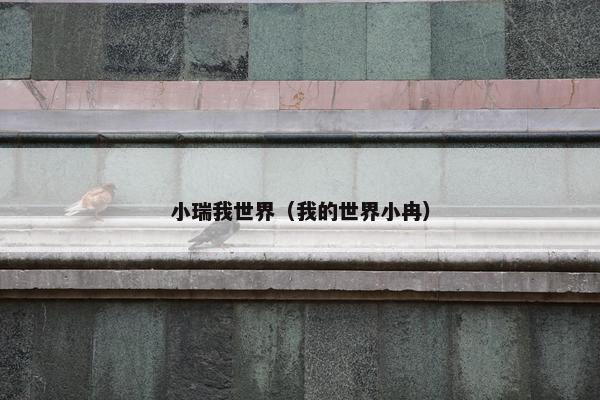 小瑞我世界（我的世界小冉）