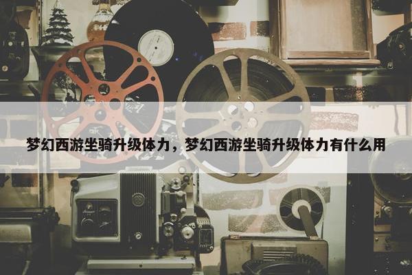 梦幻西游坐骑升级体力，梦幻西游坐骑升级体力有什么用