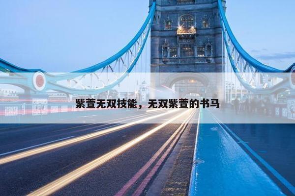 紫萱无双技能，无双紫萱的书马