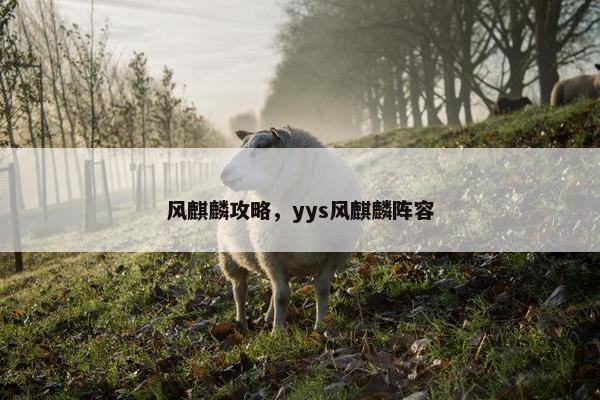 风麒麟攻略，yys风麒麟阵容