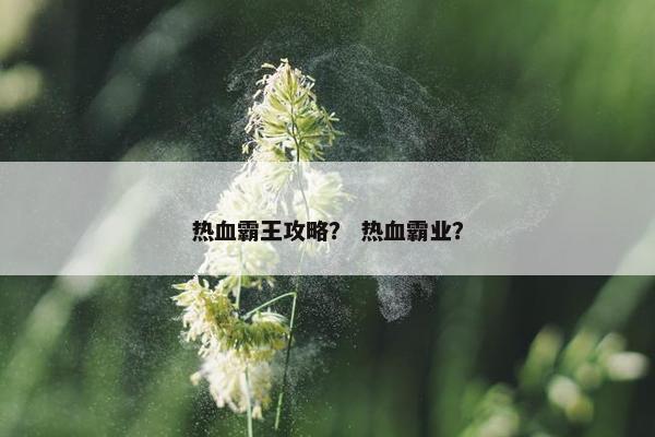 热血霸王攻略？ 热血霸业？