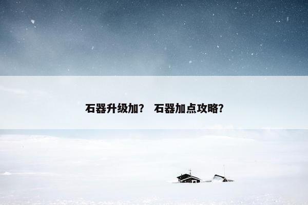 石器升级加？ 石器加点攻略？