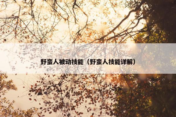野蛮人被动技能（野蛮人技能详解）