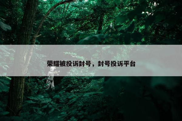 荣耀被投诉封号，封号投诉平台