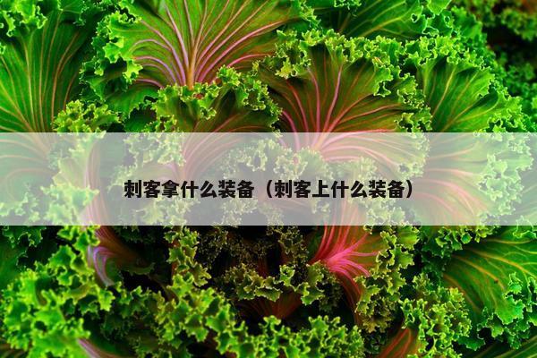 刺客拿什么装备（刺客上什么装备）