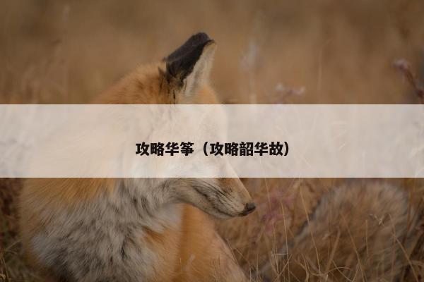 攻略华筝（攻略韶华故）