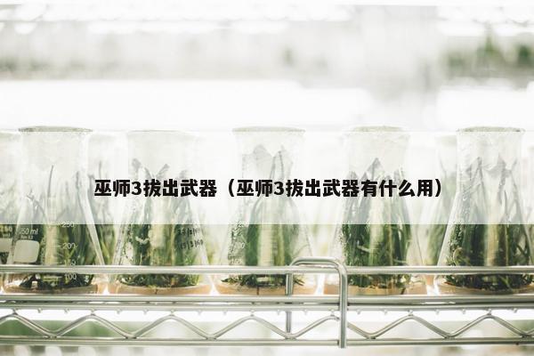 巫师3拔出武器（巫师3拔出武器有什么用）