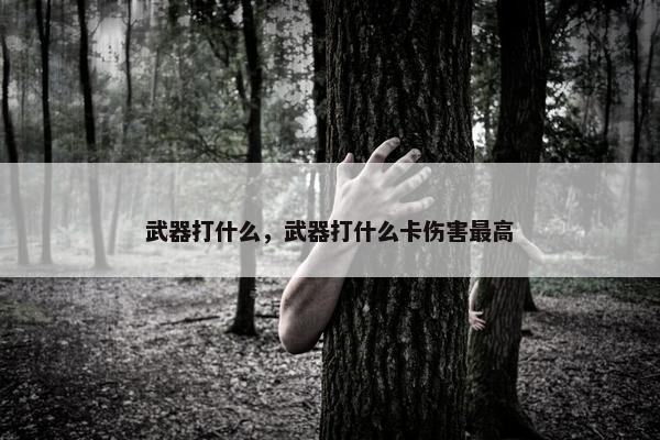 武器打什么，武器打什么卡伤害最高