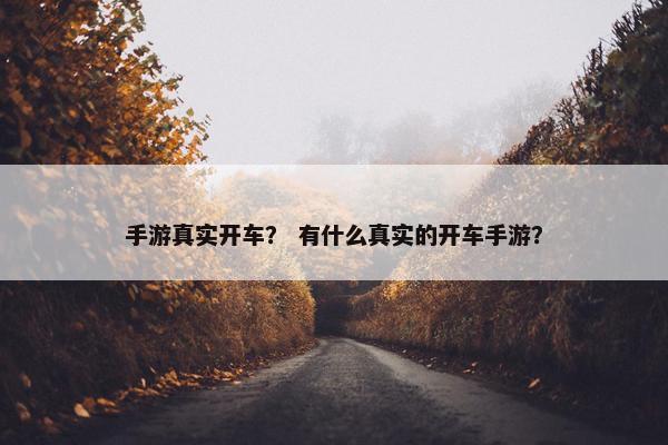 手游真实开车？ 有什么真实的开车手游？