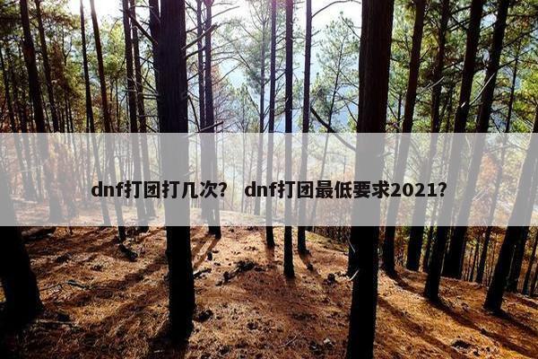 dnf打团打几次？ dnf打团最低要求2021？