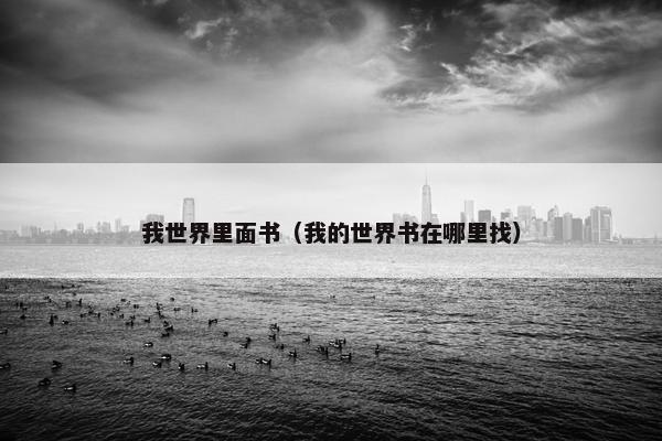 我世界里面书（我的世界书在哪里找）