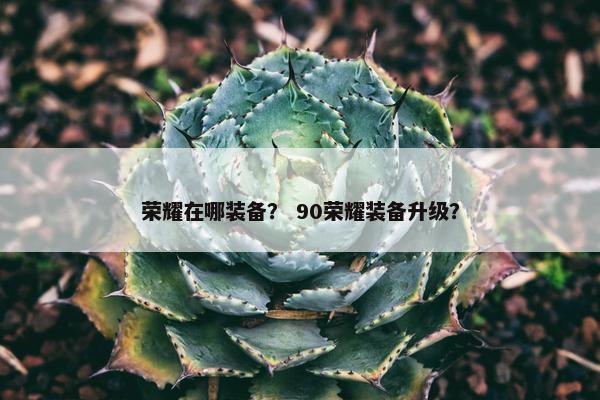 荣耀在哪装备？ 90荣耀装备升级？
