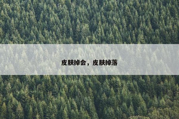 皮肤掉会，皮肤掉落