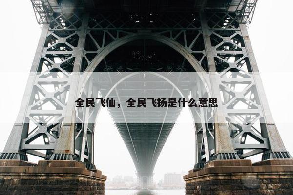 全民飞仙，全民飞扬是什么意思