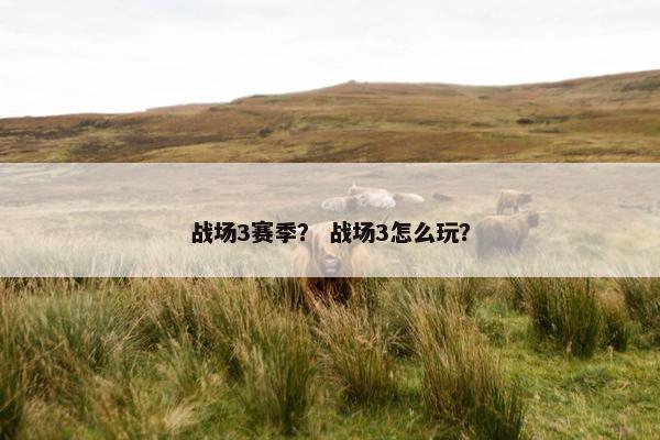 战场3赛季？ 战场3怎么玩？