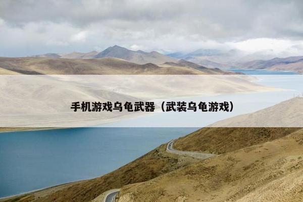手机游戏乌龟武器（武装乌龟游戏）