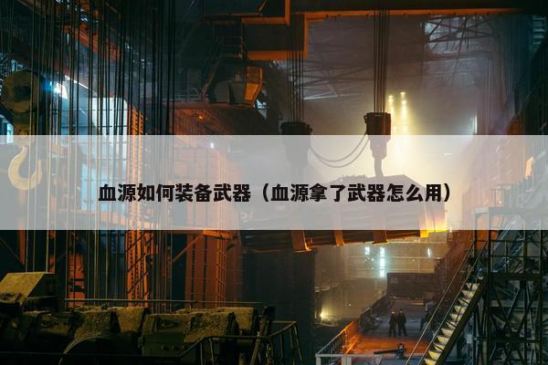 血源如何装备武器（血源拿了武器怎么用）