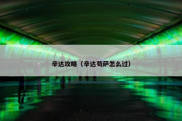 辛达攻略（辛达苟萨怎么过）