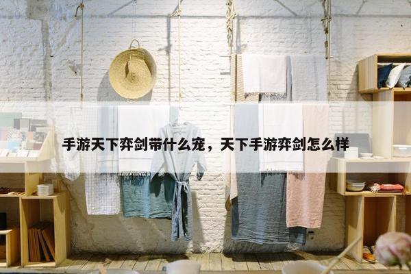 手游天下弈剑带什么宠，天下手游弈剑怎么样