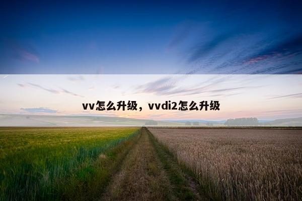 vv怎么升级，vvdi2怎么升级