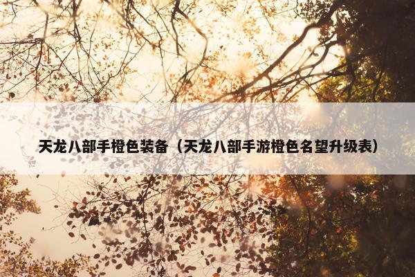 天龙八部手橙色装备（天龙八部手游橙色名望升级表）