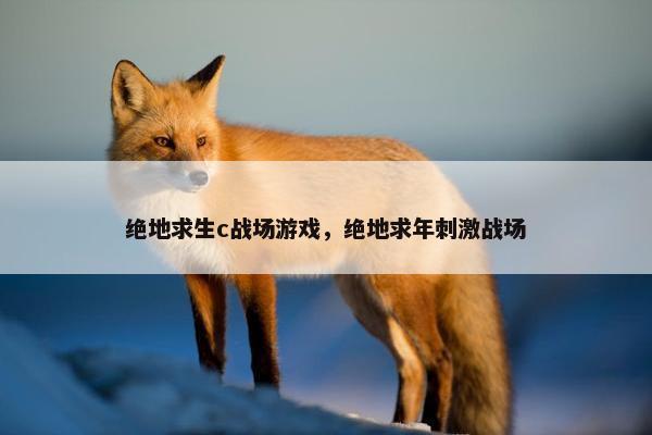 绝地求生c战场游戏，绝地求年刺激战场