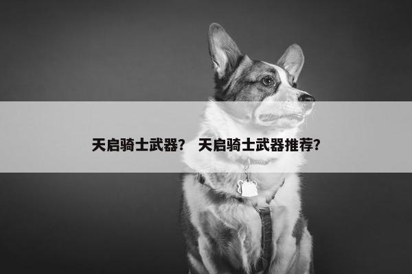 天启骑士武器？ 天启骑士武器推荐？