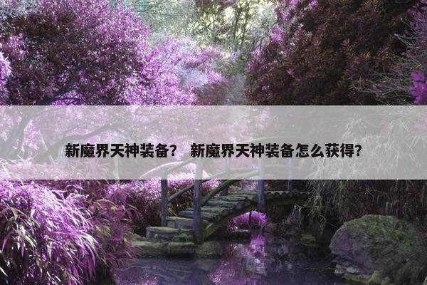 新魔界天神装备？ 新魔界天神装备怎么获得？