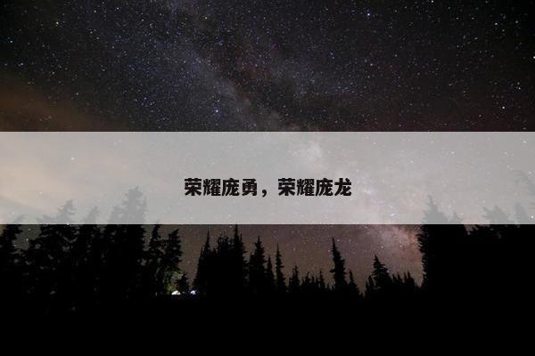 荣耀庞勇，荣耀庞龙