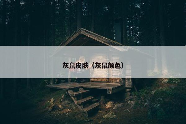 灰鼠皮肤（灰鼠颜色）