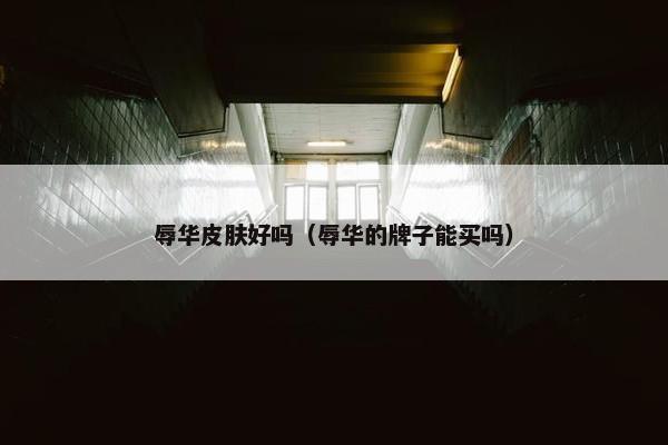 辱华皮肤好吗（辱华的牌子能买吗）