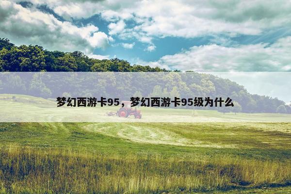 梦幻西游卡95，梦幻西游卡95级为什么