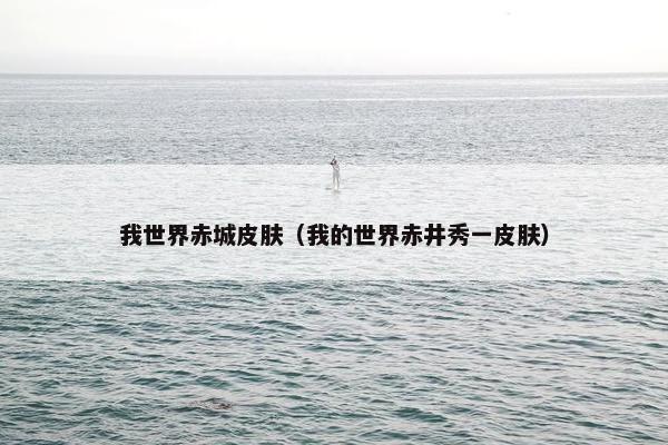 我世界赤城皮肤（我的世界赤井秀一皮肤）