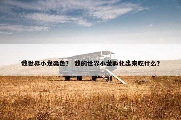 我世界小龙染色？ 我的世界小龙孵化出来吃什么？