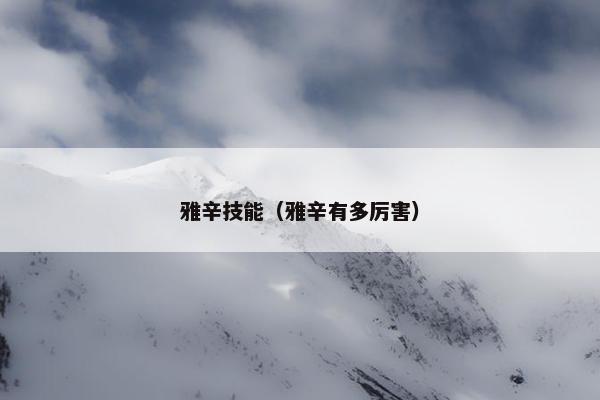 雅辛技能（雅辛有多厉害）