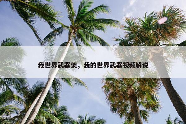 我世界武器架，我的世界武器视频解说