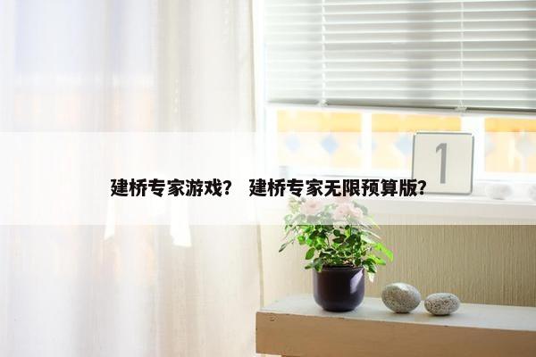 建桥专家游戏？ 建桥专家无限预算版？