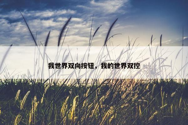 我世界双向按钮，我的世界双控