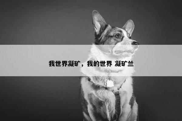 我世界凝矿，我的世界 凝矿兰