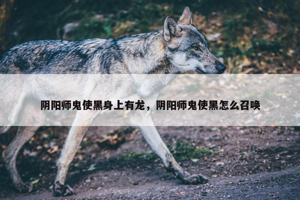 阴阳师鬼使黑身上有龙，阴阳师鬼使黑怎么召唤
